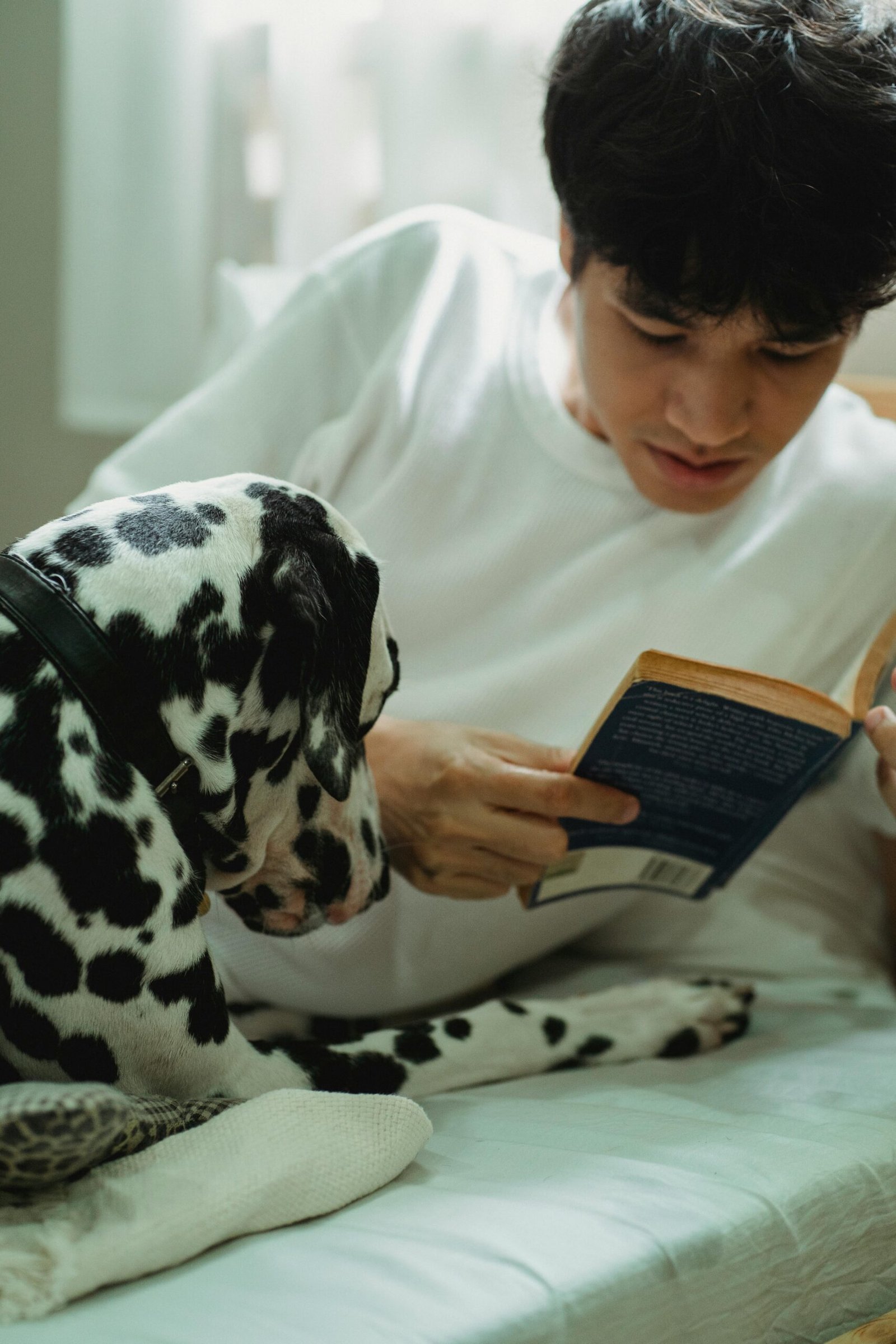Joven leyendo junto a perro
